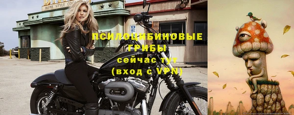гидропоника Нязепетровск