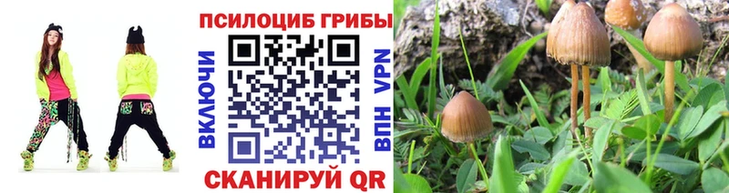 Галлюциногенные грибы прущие грибы  Безенчук 